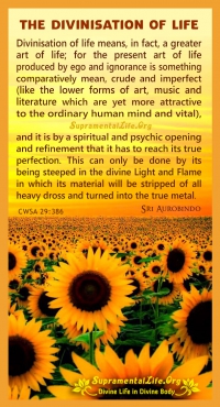 Divinisation of Life.jpg